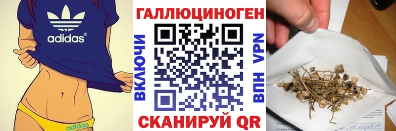 Псилоцибиновые грибы мицелий  Донецк 